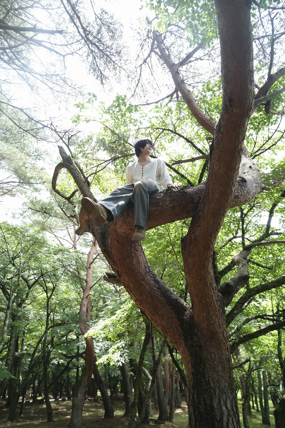 詳細
